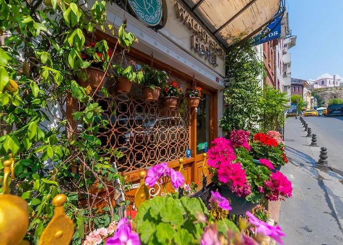 Szálloda Walnut Shell 3*