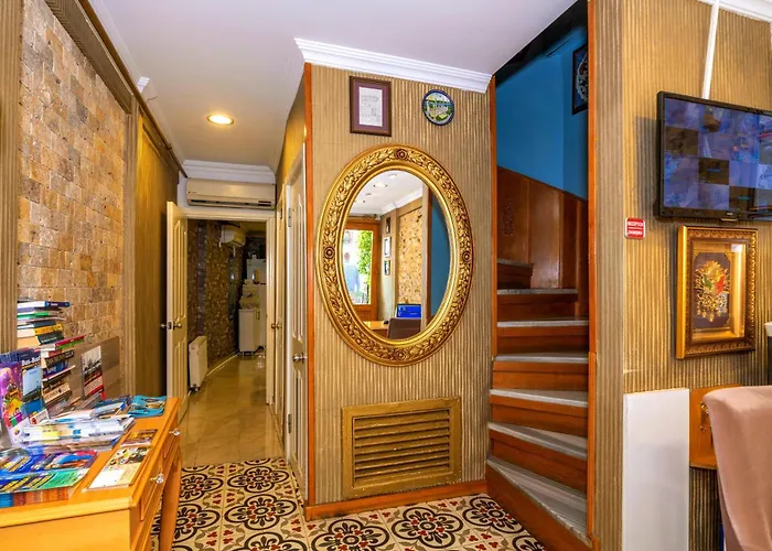 Walnut Shell Isztambul