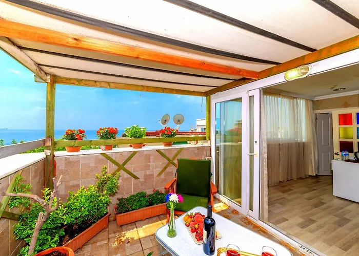 Walnut Shell Szálloda