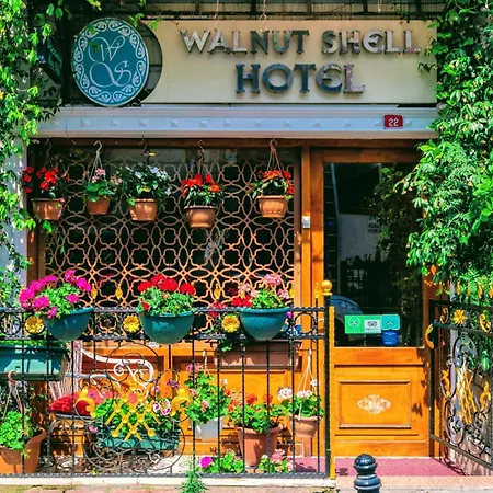 Walnut Shell 3*
