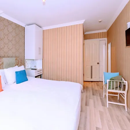 Walnut Shell 3*