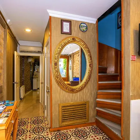Walnut Shell Istanbul