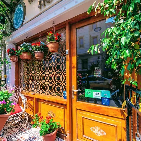 Walnut Shell 3*