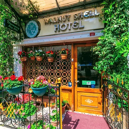 Walnut Shell Istanbul