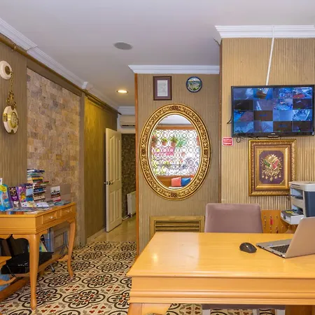 Walnut Shell Istanbul