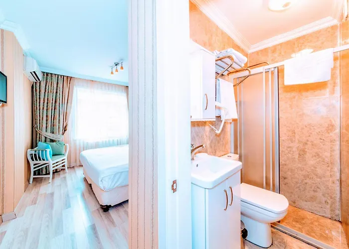 Отель Walnut Shell Стамбул