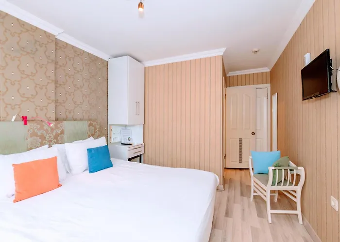 Walnut Shell Стамбул