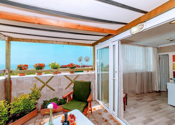 Walnut Shell Отель