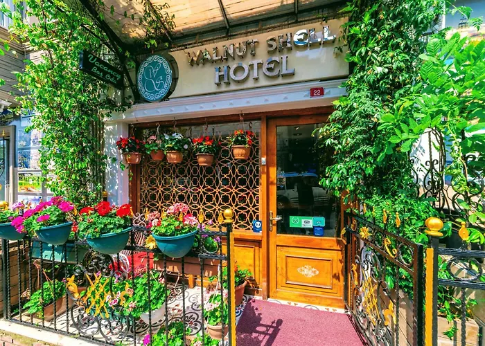 Walnut Shell Istanbul