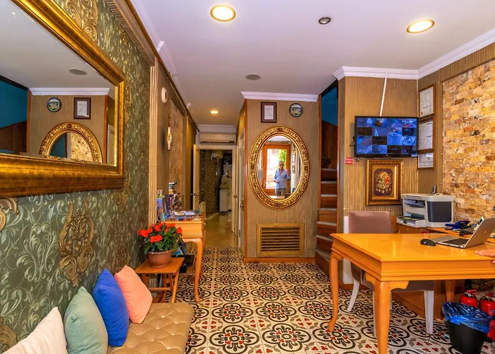 Walnut Shell 伊斯坦布尔